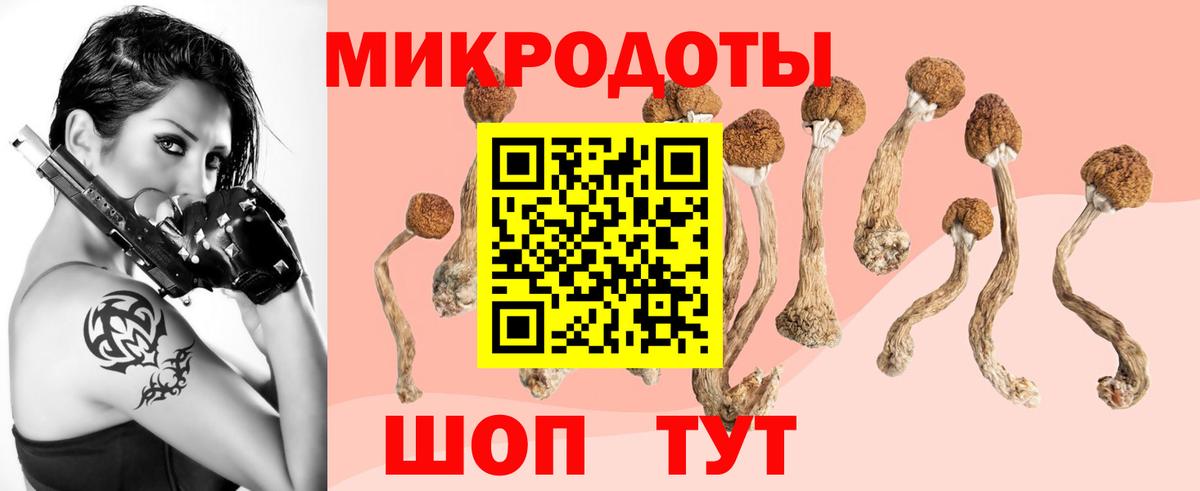 Псилоцибиновые грибы Magic Shrooms  Вход с VPN  Карпинск 